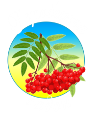 Главная